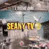 L'Oiseau Rare - Seany Tv - Single